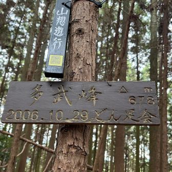 やむなく直登‼️