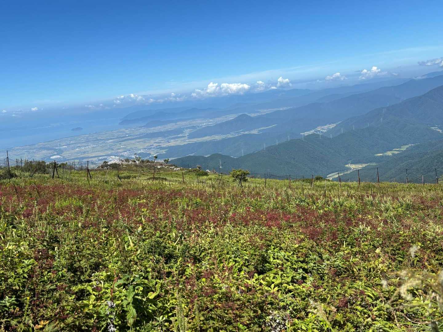 伊吹山 周回コース | 9合目から始まる、花と琵琶湖の日本百名山の写真