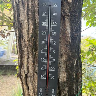 こんな降って来たのに近いのに20度！涼しい