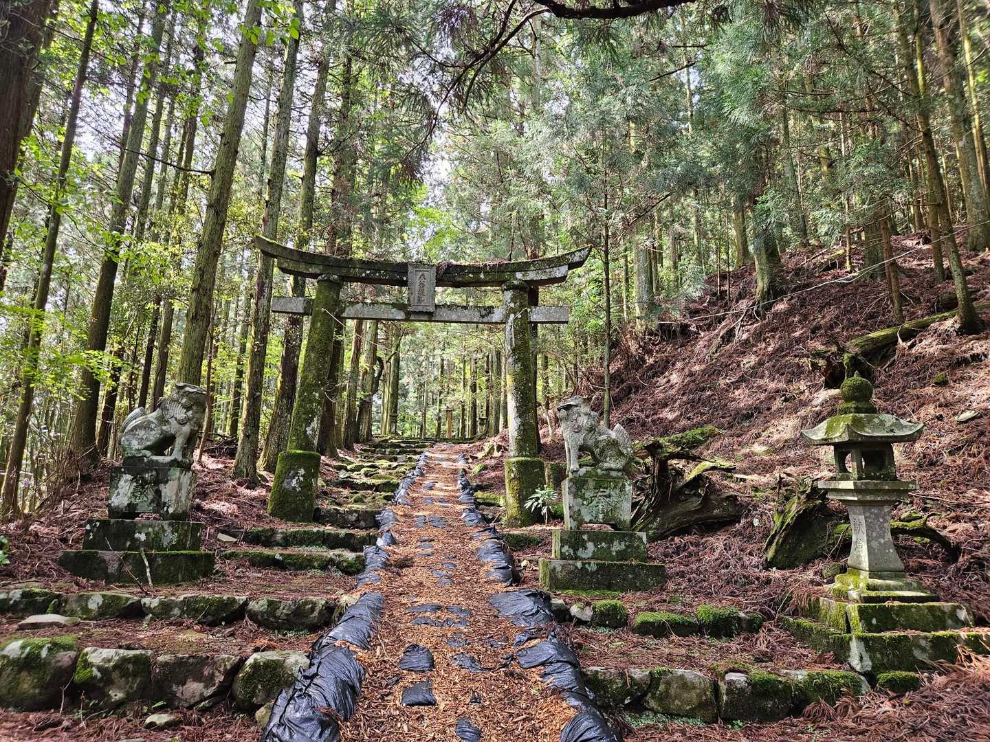 最後の鳥居さんを通過。