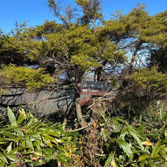 P1(第一峰)到着。相方さんが登って来るまで休憩。今回の山行、自分だけ3時間以上休憩してます🙈︎絶景だし最高✨️✨️✨️👍