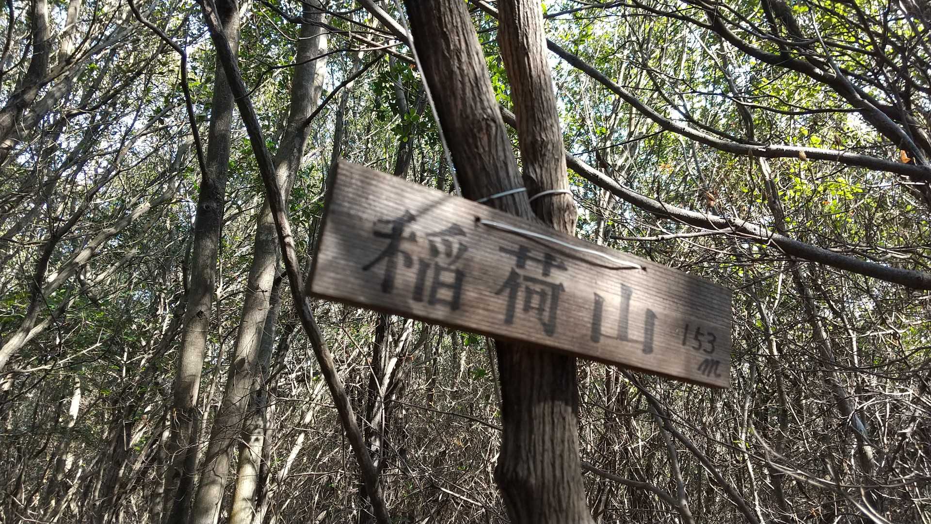 稲荷山山頂✌️