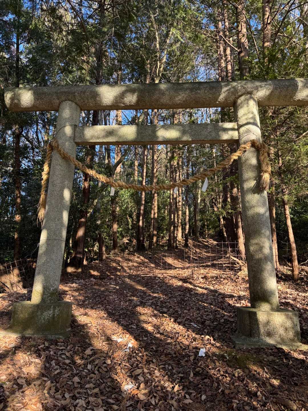羽黒山二所神社鳥居-羽黒山二所神社-羽黒山 往復コースの写真