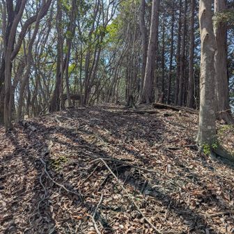 西ノ山⛰️に戻ってきました🚶‍♂️