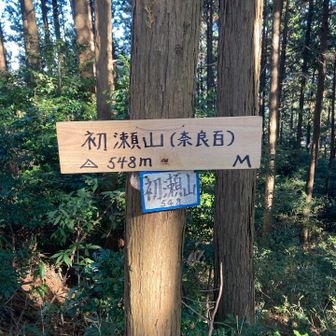 眺望なし。あとはひたすら下るのみ！