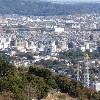 中央に小田原城