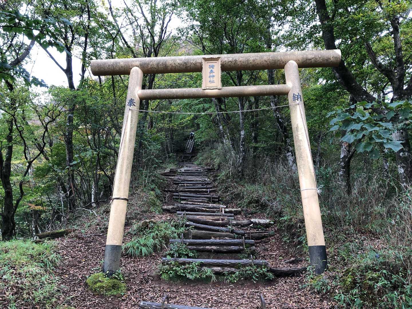鳥居⛩️をくぐって山頂を目指します。