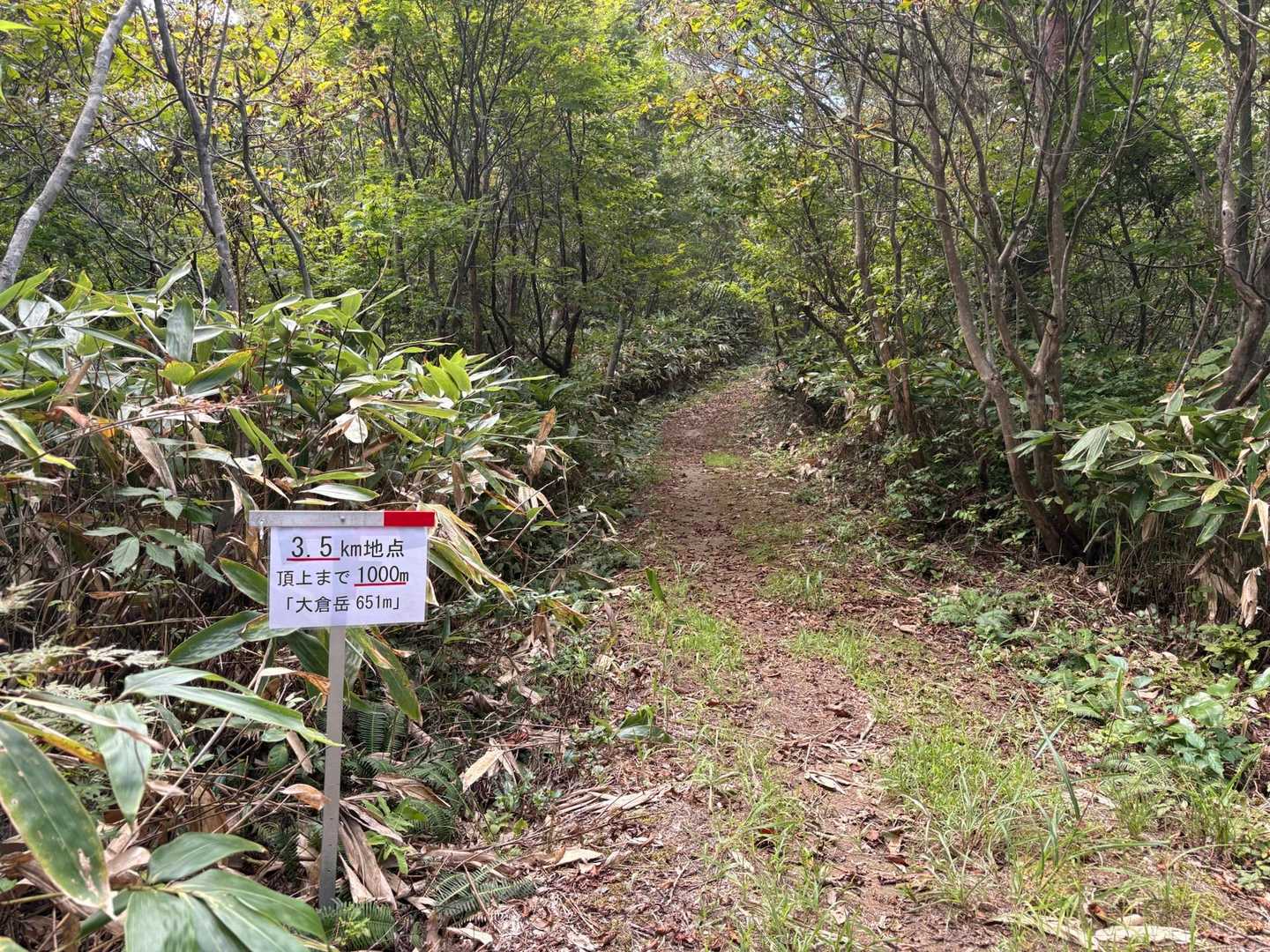 あと1000m