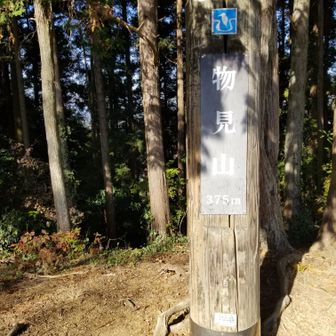 物見山の山頂に到着！

物見山⛰
標高375m