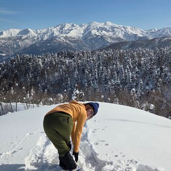 菜々緒ポーズをリクエスト