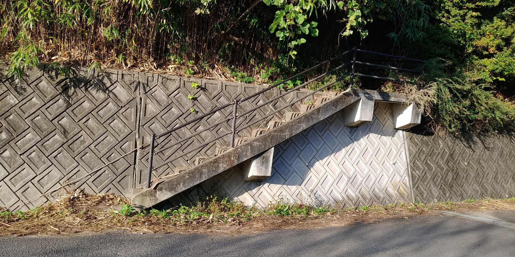 ここから
初めての道