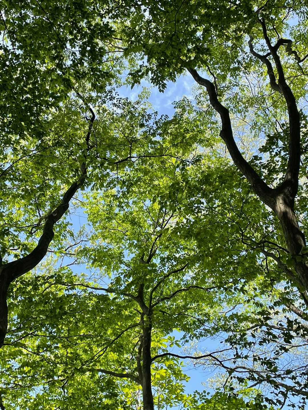 花房山 往復コースの写真