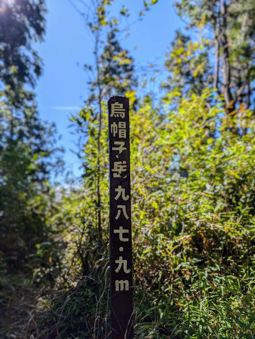 わしゃわしゃがさがさブンブンカイカイ粉粉ふんっふんっを抜けるとそこは、烏帽子岳。
