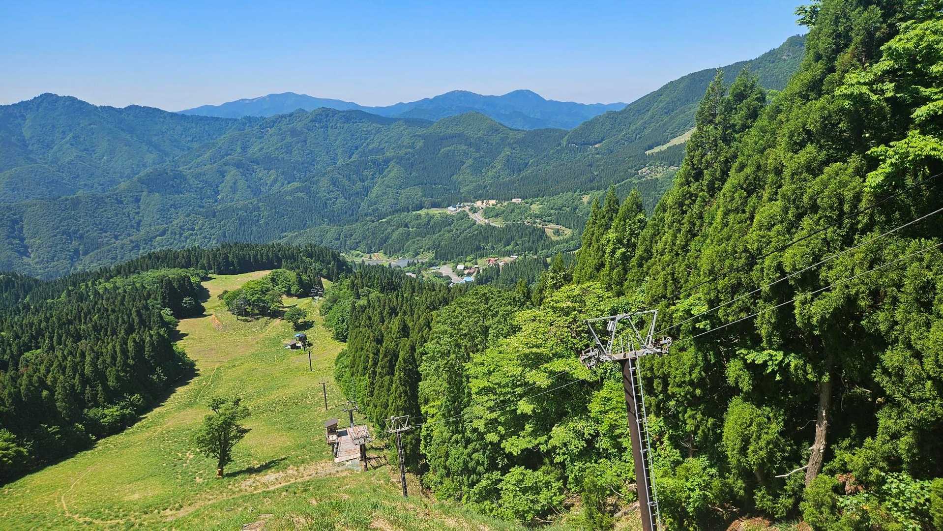 ひょう太くんが見えている‼️