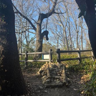 この柵の向こうは日守山公園となります。
