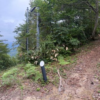 そして本日は初の八木が鼻キャンプ場🏕️方向に降りてみます❗️