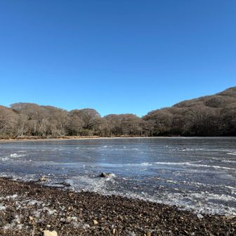 空は雲ひとつなく、とてもおだやか〜🎵