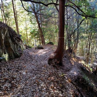 正解は右手下の道。ここは分かりにくくて道間違いをしました。