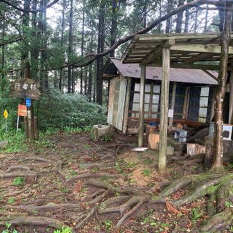 行者杉の壊れそうな休憩所。雨風は防げそう
