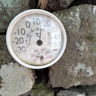 日陰の外気温15℃