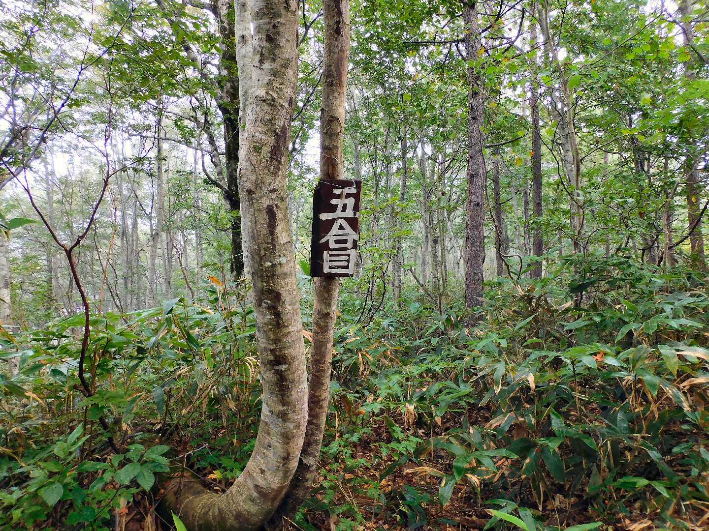 槍ヶ先-中先-火打岳 往復コースの写真