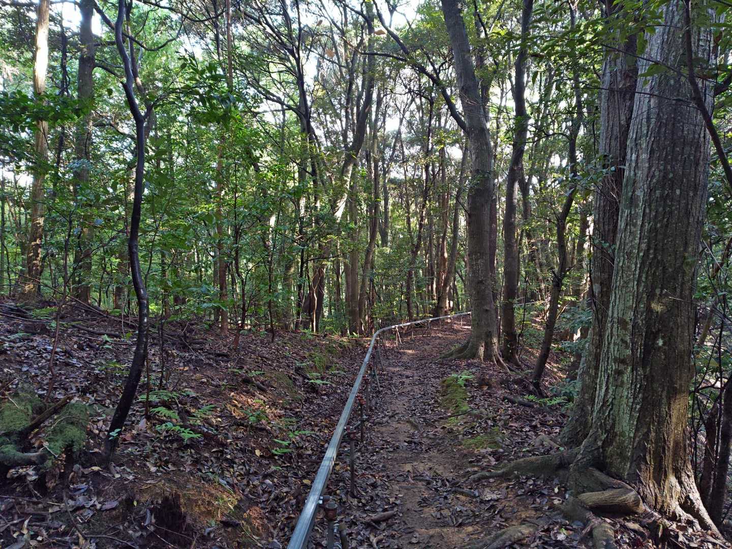 レールの為に登山道が狭くなっていますが…