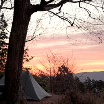 キャンプしてる人いた😳