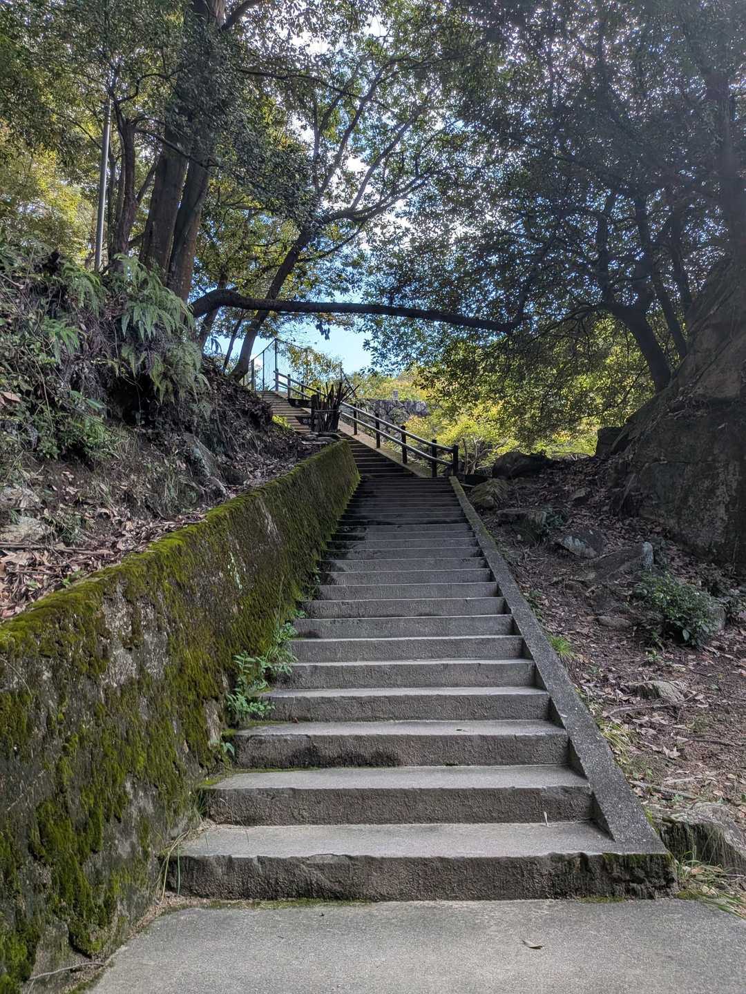 この階段登りスタートです！