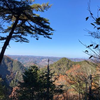 長坂山、ちょっと眺望。空が青い。
ここまでまぁまぁ急登でしたが、道はよく整備されていてとても登りやすい。