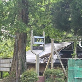 ２３℃　先週より　涼しい