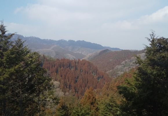 草戸山（東京・神奈川・364m）| 登山ルート・天気 | YAMAP / ヤマップ