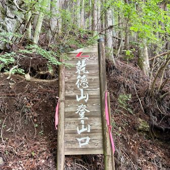 なっがいドンずべりロードを制して無事下山！
濡れた岩場の感覚、かしこまりましたぞ！
この感覚、真夏に呼び起こす必要がないことを祈る、わたしは晴れ女！