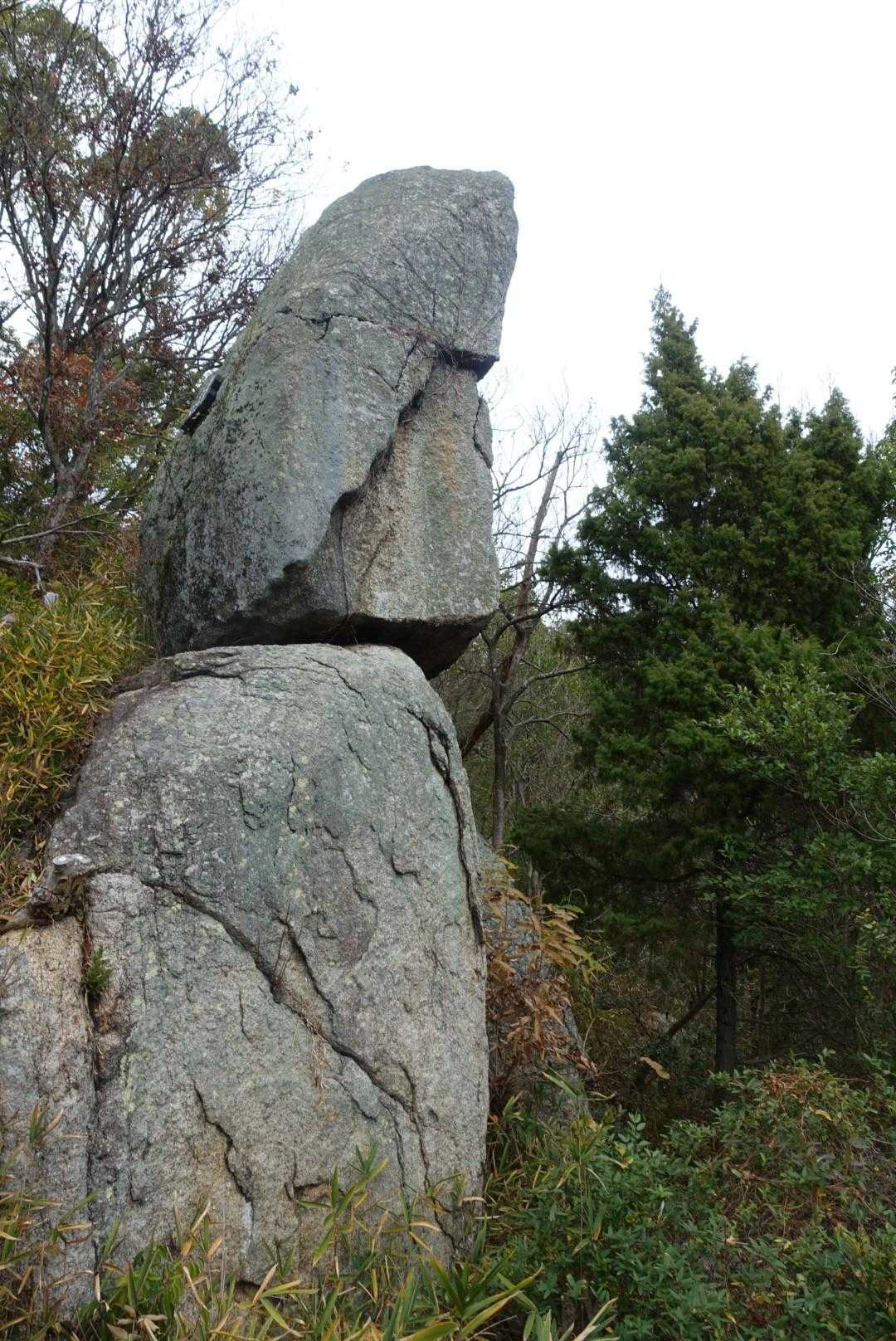 女性の顔
さっきのおじいさんが
色々教えてくれた