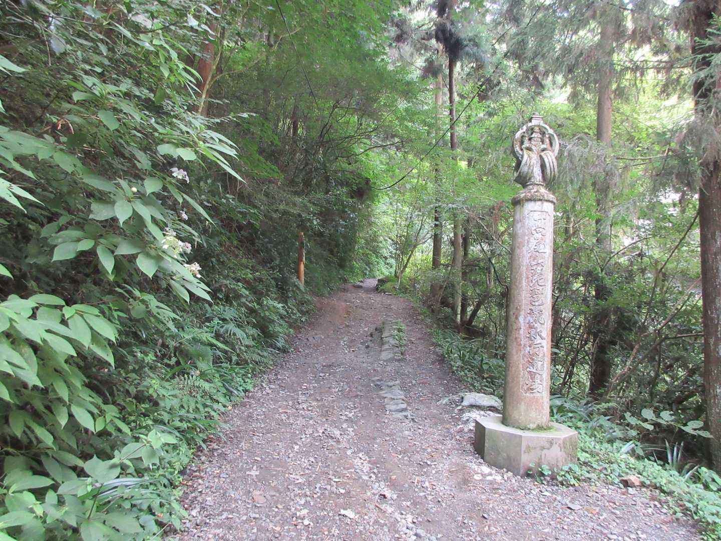 6号路を進む