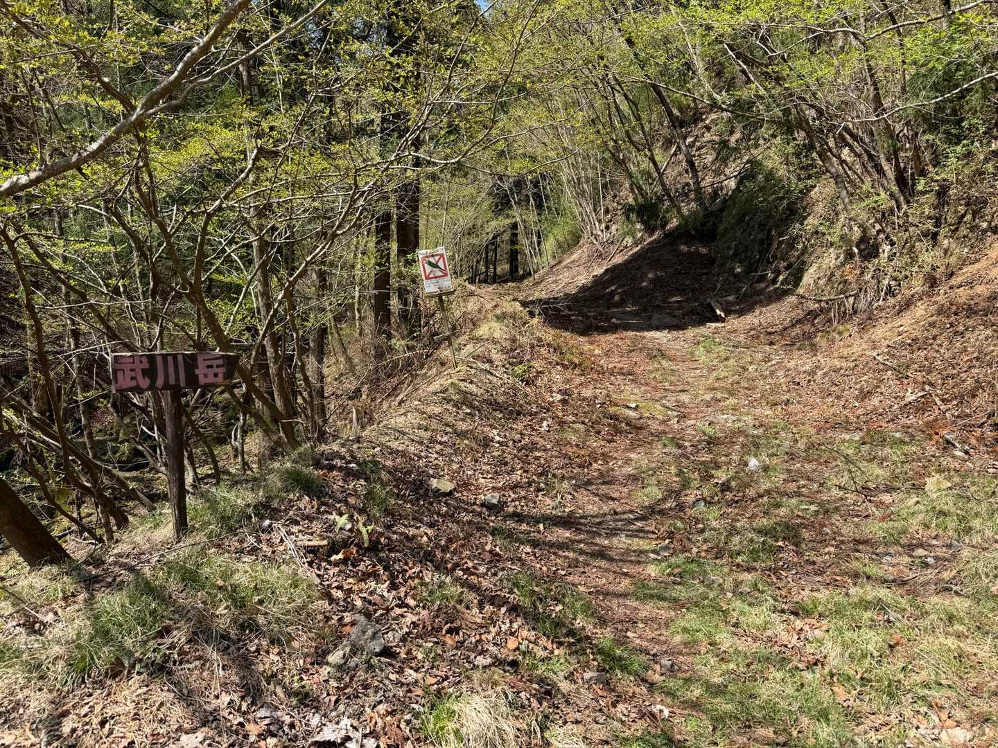 武川岳-前武川岳 周回コースの写真