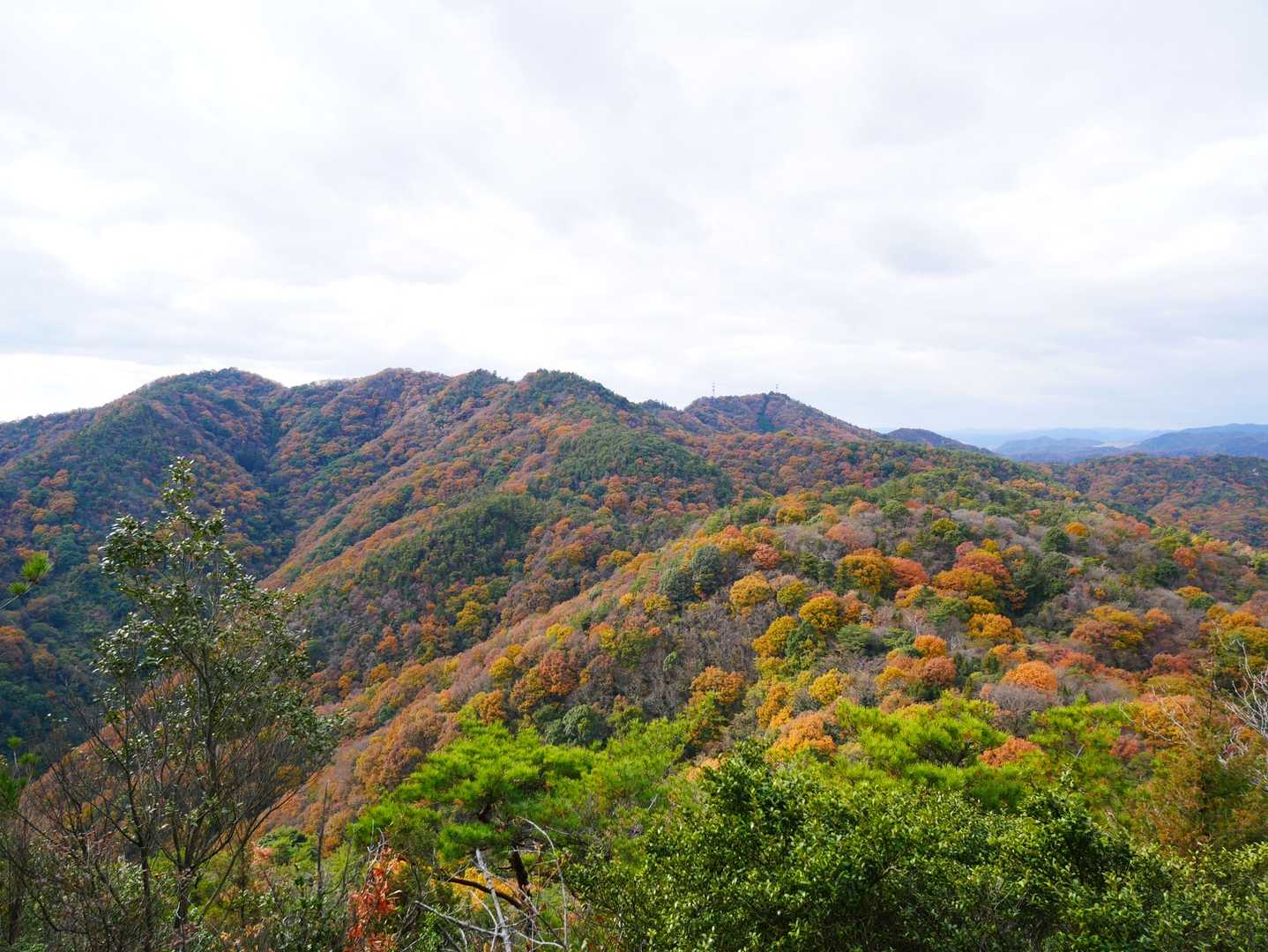 これまでの山々⛰⛰を
振り返ってみました。
結構、距離ありますかね。