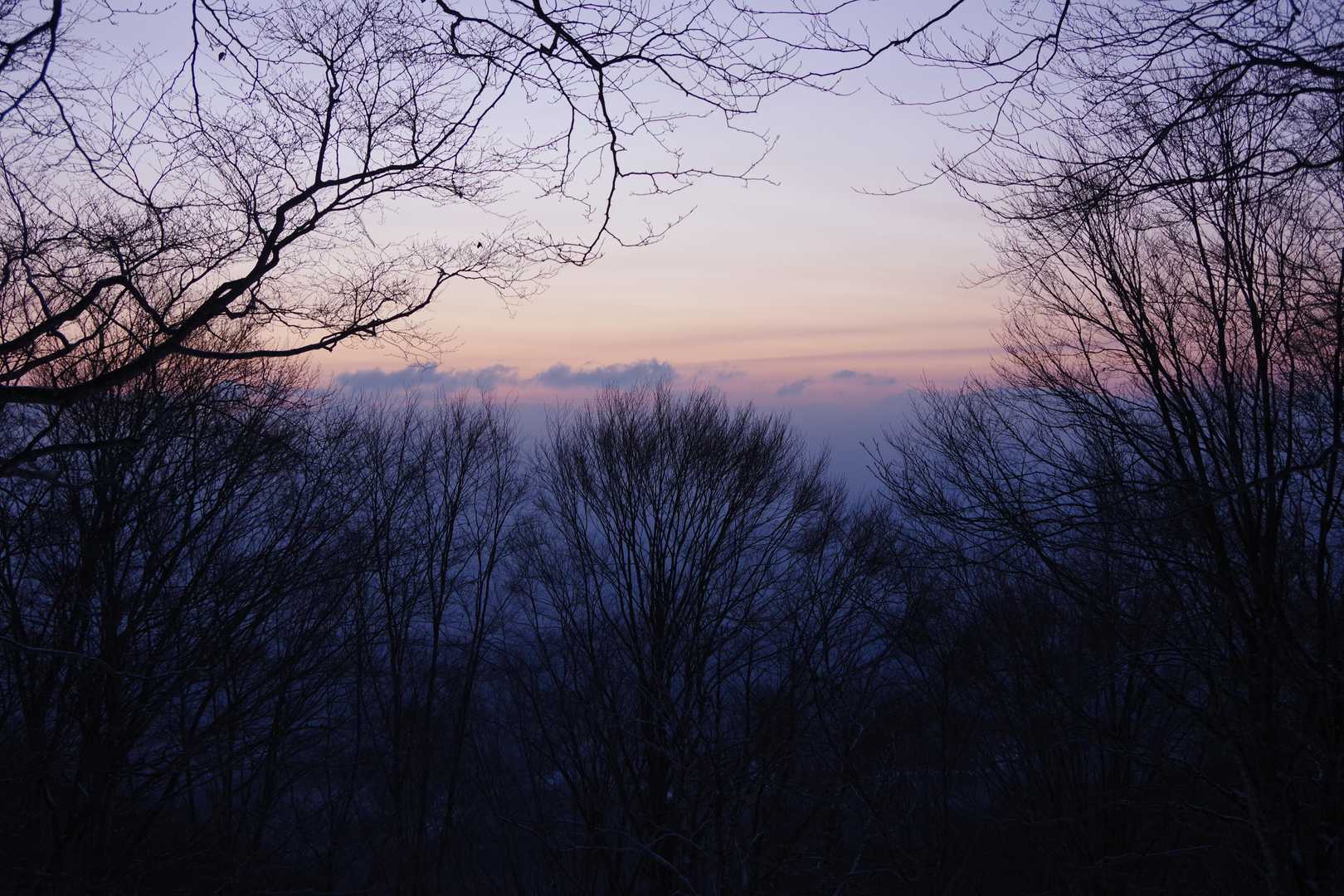 斑尾山 往復コースの写真