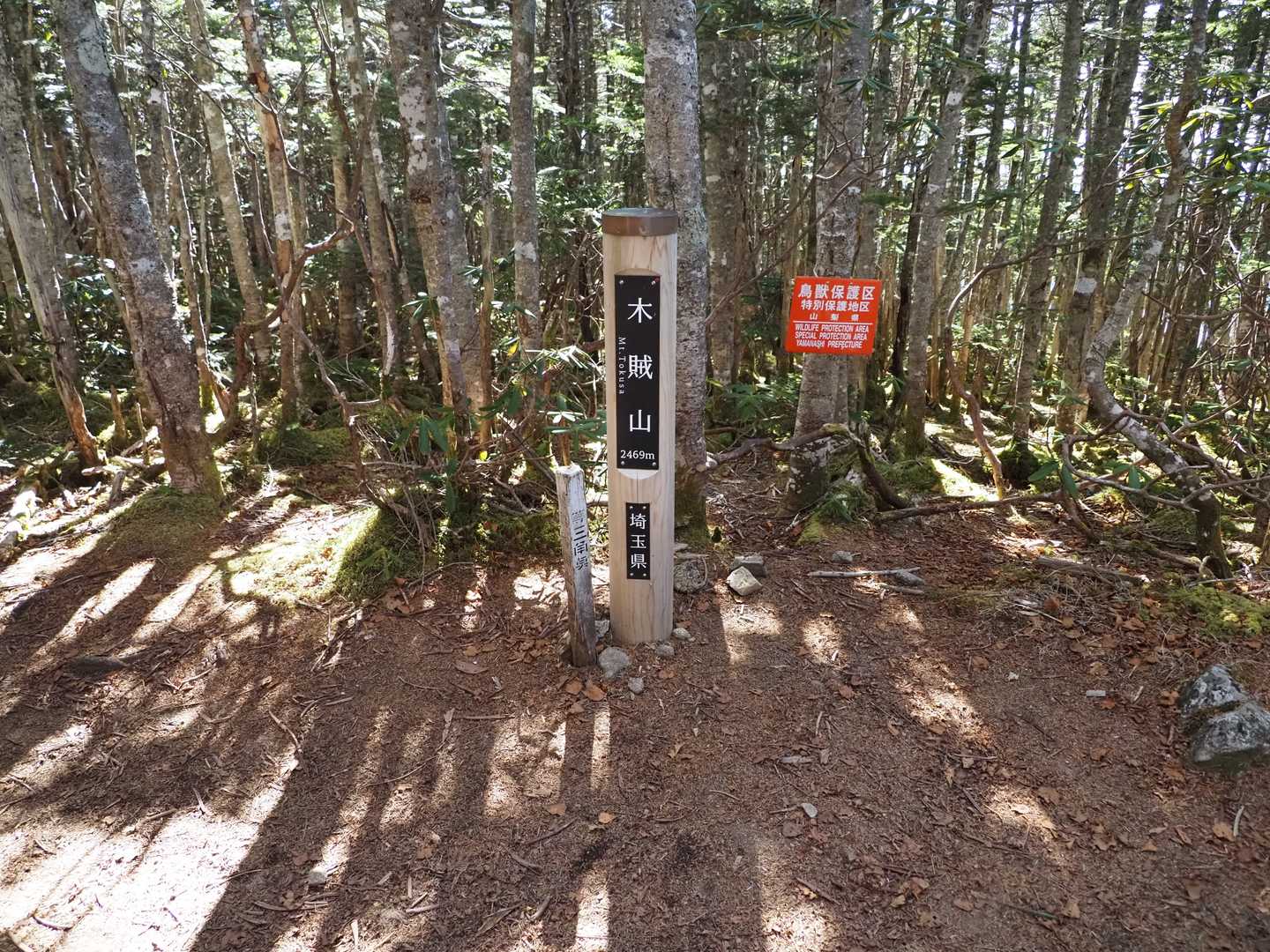 木賊山（とくさやま）

トクサは研磨剤として珍重されてきた植物