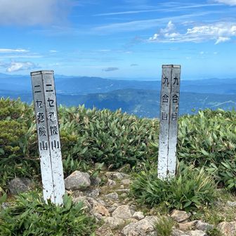 ニセ頂上