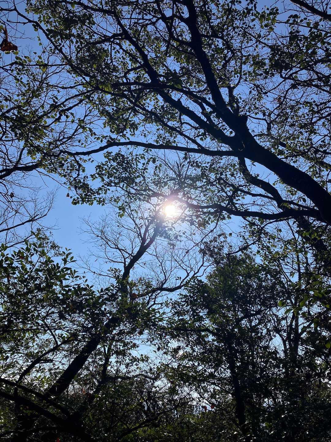 気持ちの良い日差し☀️