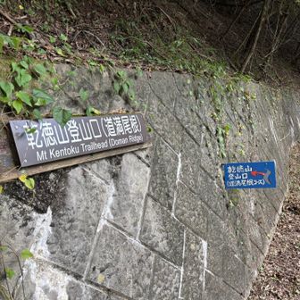 徳和峠を回って下山完了
この尾根のくだりは膝にきましたなぁ💦