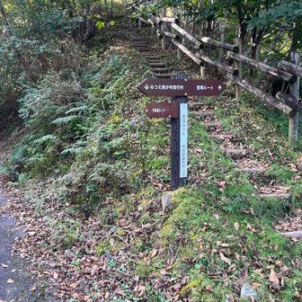 ルートミスして、別の登山口へ。