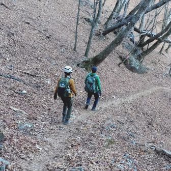 八丁峠を下ります。やっと一安心🙆
