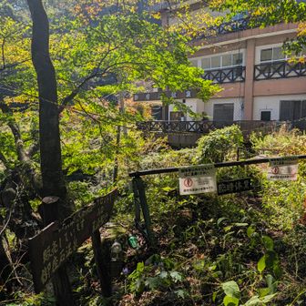 御座石鉱泉登山口に到着