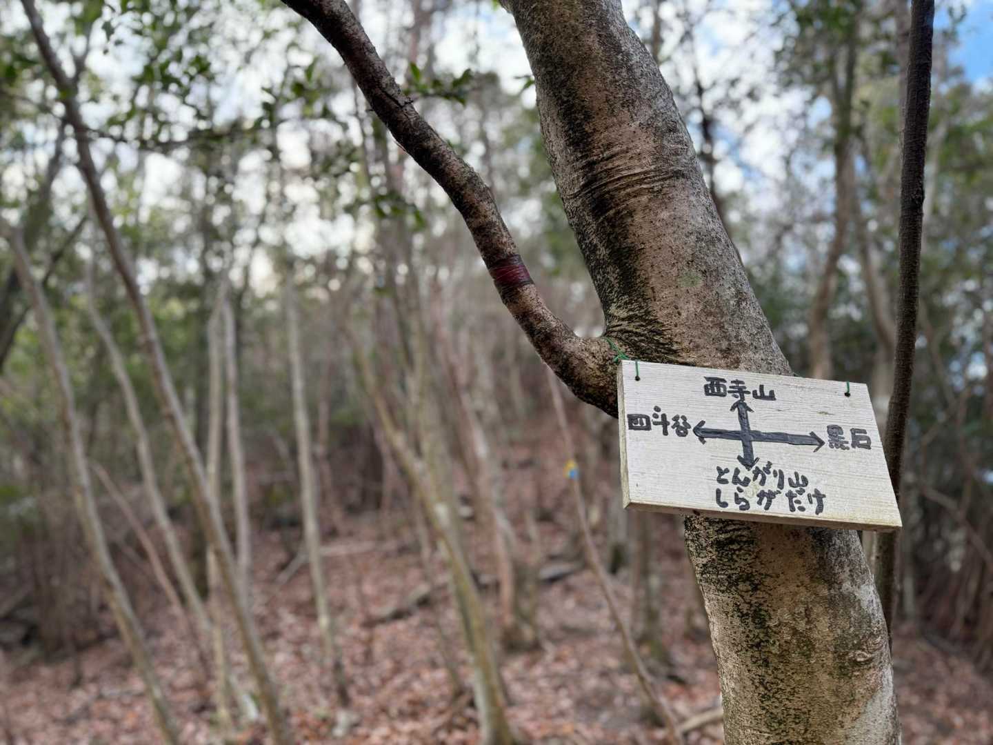 標識確認🙄助かります🤭