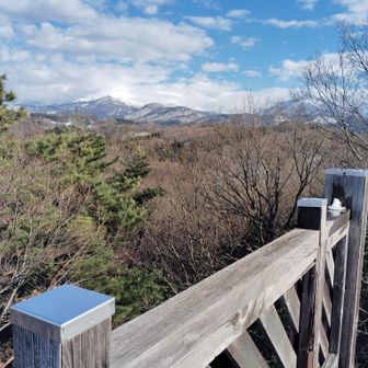 木が大きくなり展望が良くない。