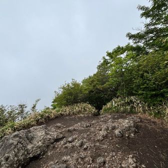 掃部岳山頂。真っ白