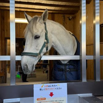 神さまのつかいです
やさしい顔をしている☺