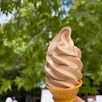 いつも山頂でご飯食べてたら寒くなって食べれないソフトクリーム🍦
このまま休憩無しで千早園地に行くので今日は食べれた😋
秋バージョン、マロン味🌰