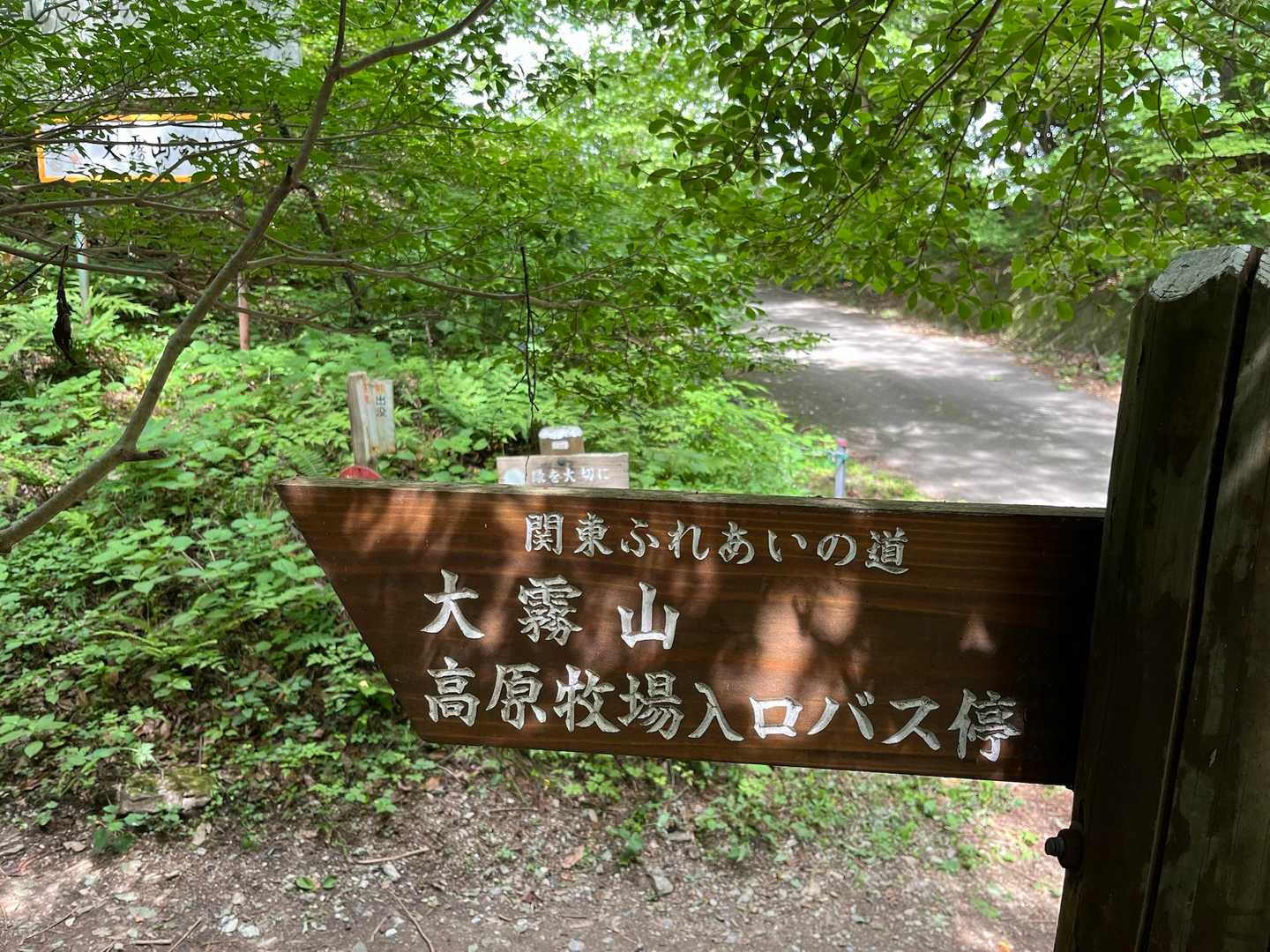 登山口。今日は登山者多めのようだけど、一応クマ鈴装着。